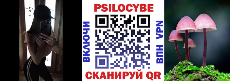 Псилоцибиновые грибы GOLDEN TEACHER  Купить  Тара 